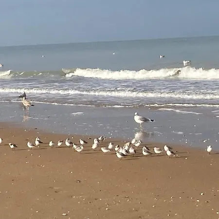 Cocon De Bord De * Blonville-sur-Mer